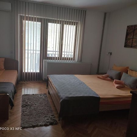 Vila Cair Doplata Za Bazen Soko Banja Exteriör bild