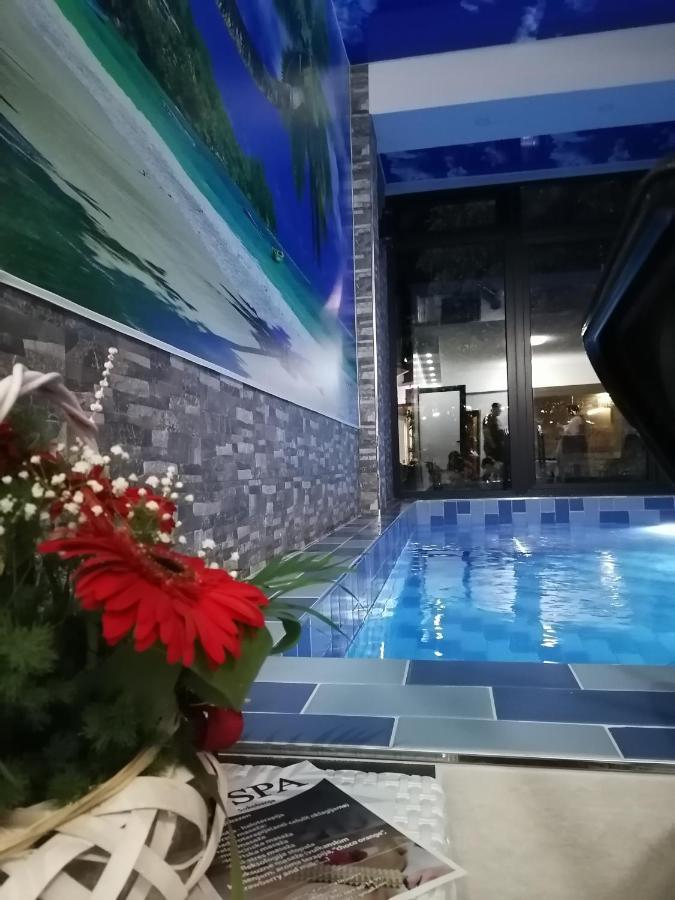 Vila Cair Doplata Za Bazen Soko Banja Exteriör bild